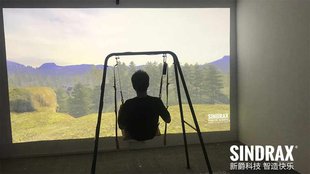 Interactive Swing Projection